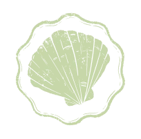 dessin coquillage vert clair