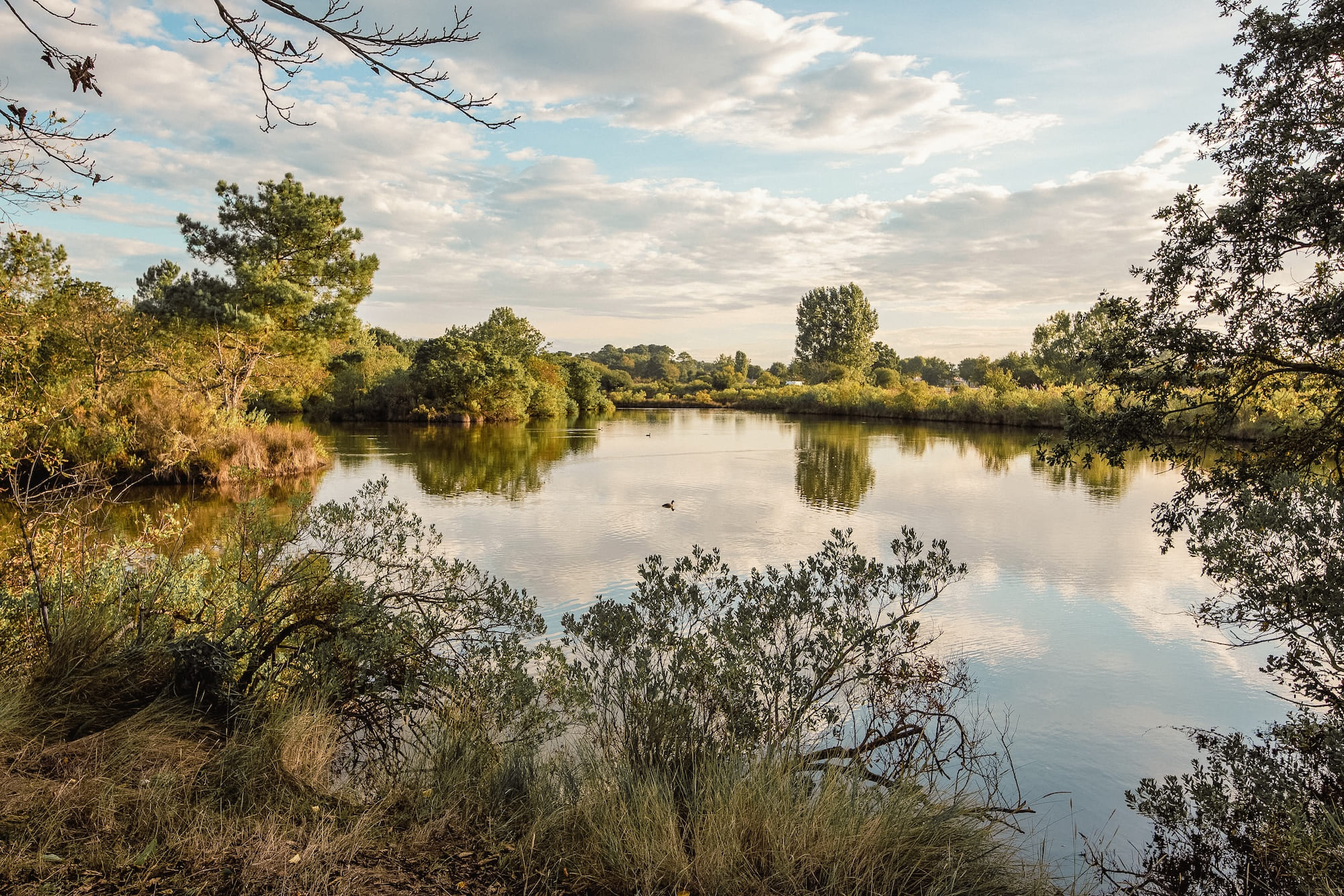 Camping pasteur engagements écologie nature