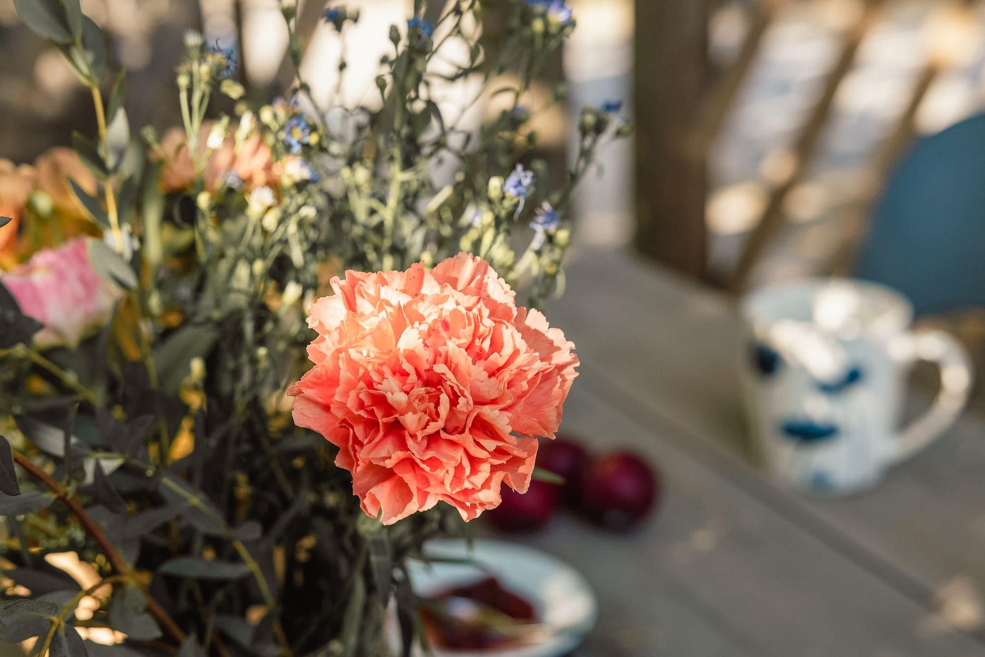 Camping pasteur fleur nature écologie respect