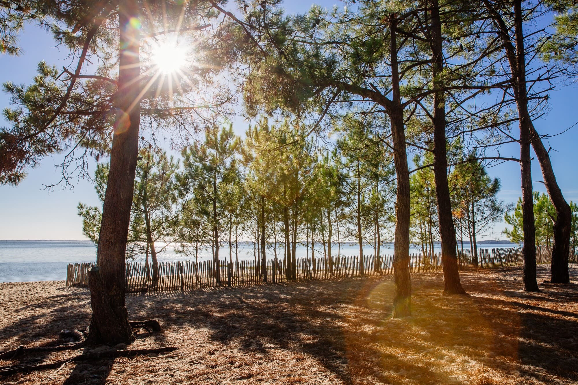 andernos plage boisée camping pasteur baie arès
