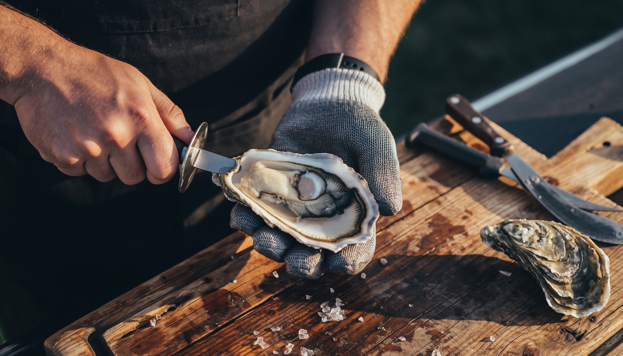 camping pasteur bassin arcachon arès huîtres