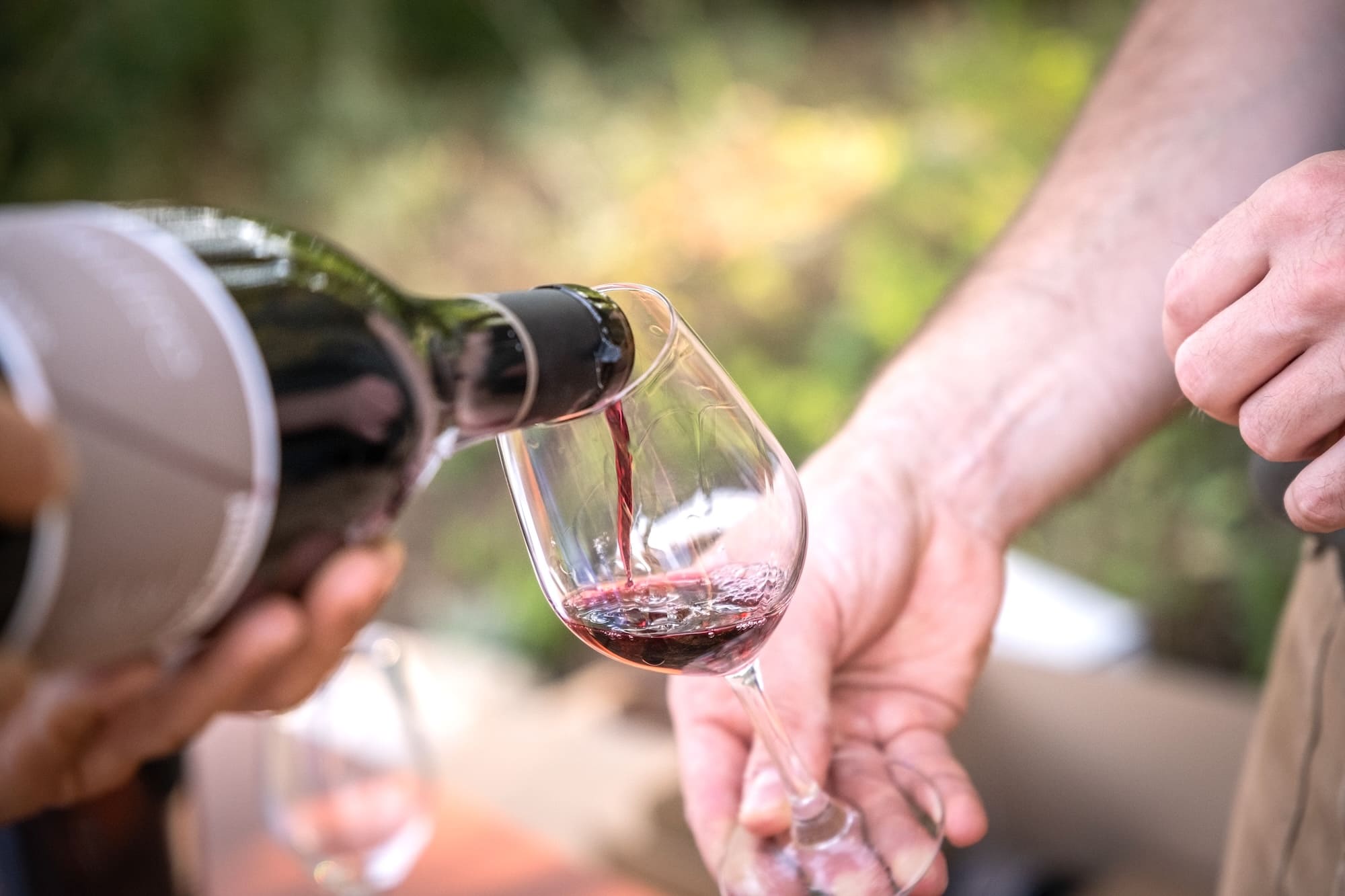 dégustation vin bordeaux camping pasteur